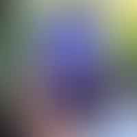 Cracking the Code: How to Efficiently Increase Refresh Rate on Android