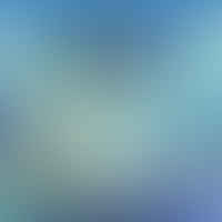 Decoding the Impact of Refresh Rate on Animation Quality