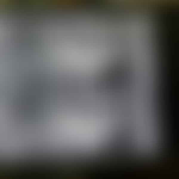 Interlaced Refresh Rate: Shedding Light on an Underestimated Screen Setting